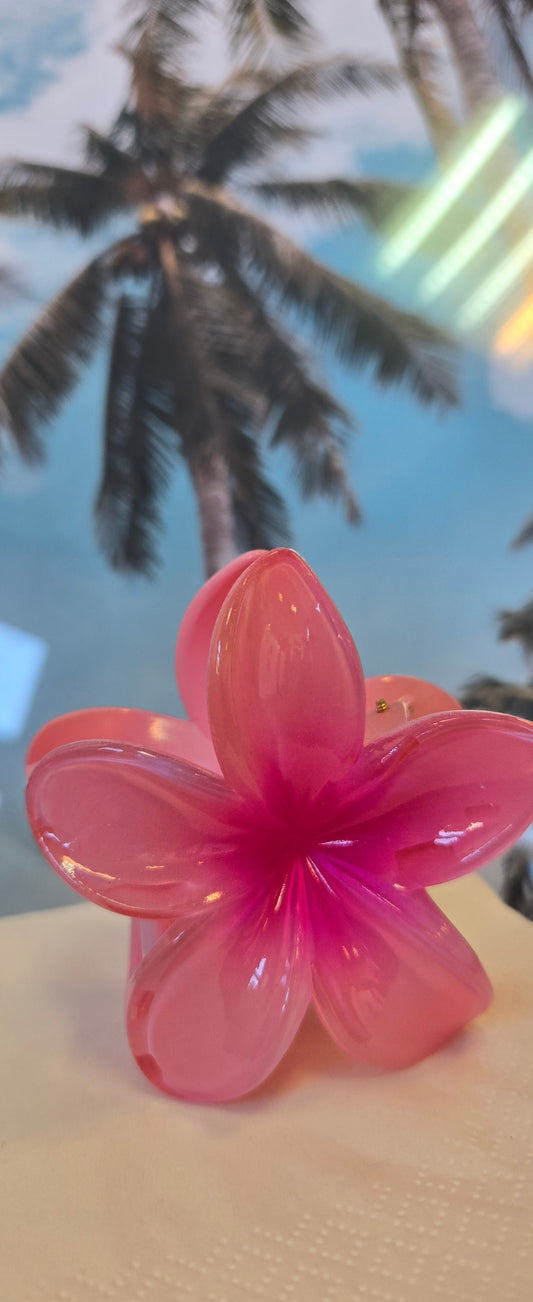 Pinces fleurs