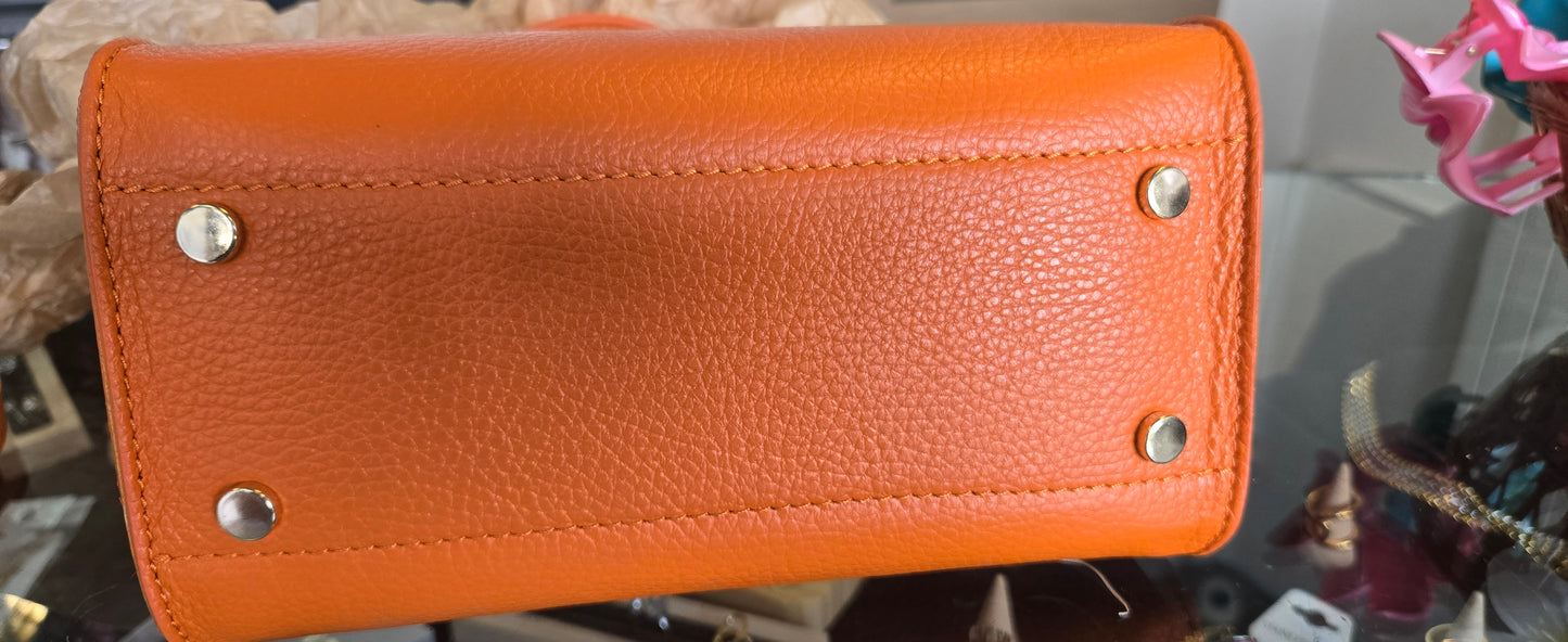 Magnifique sacs orange